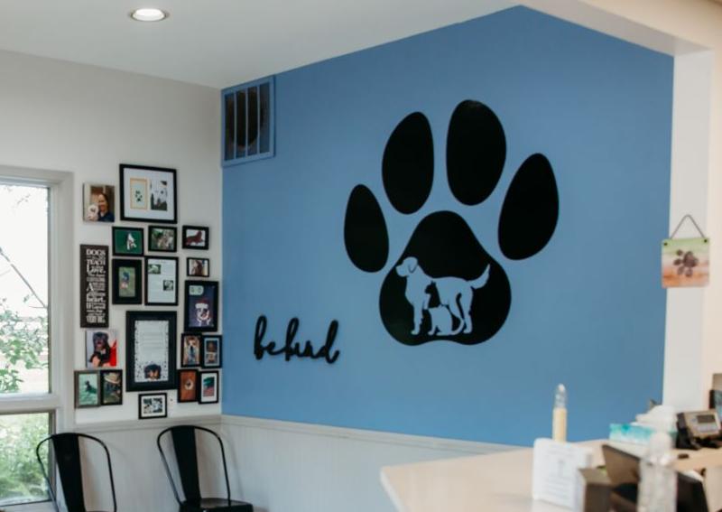 Town & Country Veterinary Clinic Eaton veterinarians